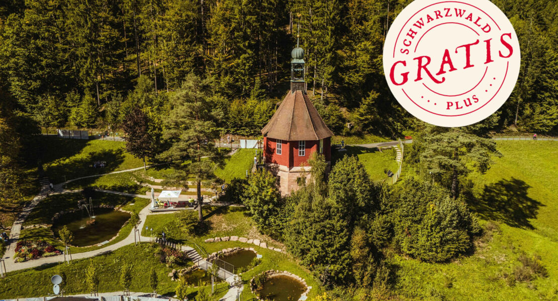 glenn-langhorst-frau-zum-mitreissen-gesucht