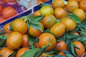 Wochenmarkt mit großem Herbstmarkt