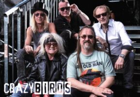 CrazyBirds - spielen electra