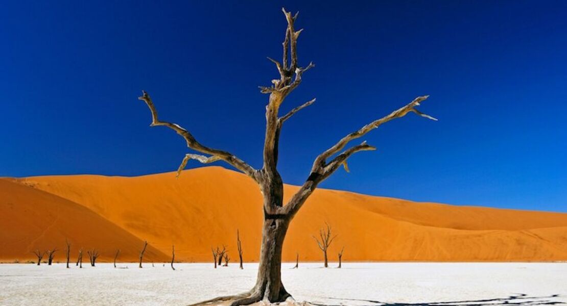 namibia-botswana-echo-der-schopfung