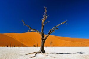 Namibia & Botswana - Echo der Schöpfung