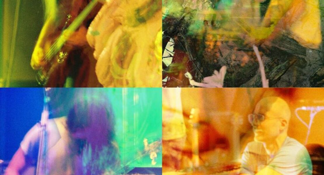 colour-haze-live-2026