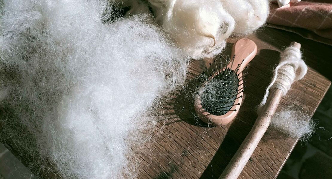 schafwolle-verarbeiten-von-der-schur-bis-zum-garn-im-bauerlichen-museum