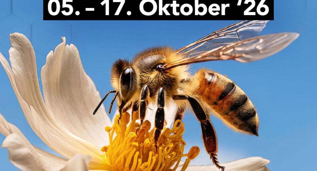 beexhibition-interaktive-ausstellung-uber-bienen