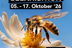 BEEXHIBITION - Interaktive Ausstellung über Bienen