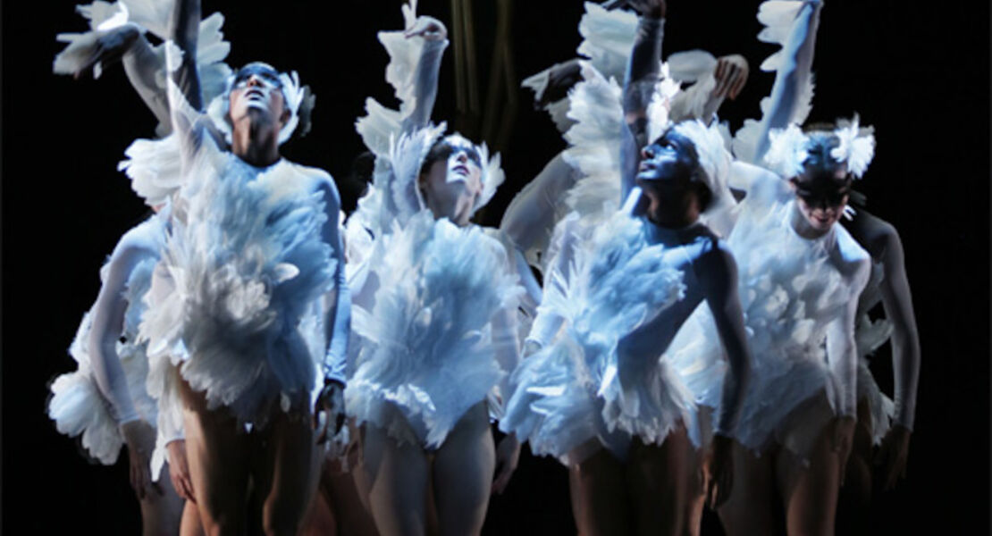 schwanensee-tanztheater