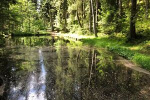 Durch das wilde Zugbachtal zum Paradies