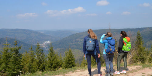 spazierwandern-im-heilklima-dobel