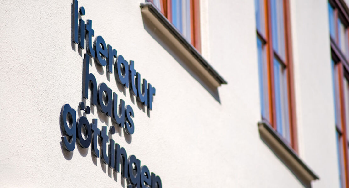 dings-und-das-ganseliesel-komplott-nicola-schroth-und-andreas-zier