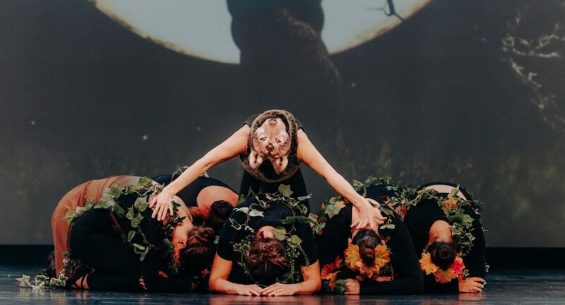 dance-2026-auffuhrung-der-ballettschule-remchingen