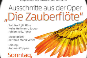 Neujahrskonzert - Neujahrskonzert