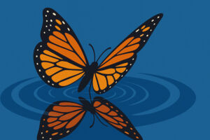 Wie man ein Schmetterling wird - Eine Lesung aus dem Buch von Shole Pakravan