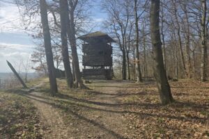 Auf dem Eppinger Linienweg nach Maulbronn