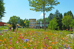 Sonneninsel Steetfood Sommer | 5. Augustwochenende mit GL Gaggenau