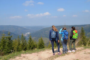 Sportliche Wanderung | Oberes Gaistal - Kohlwäldle - Badweg