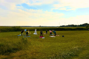 Yoga für Anfänger