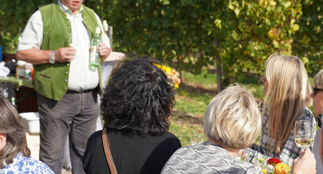 summerwine-im-bad-krozinger-rebberg