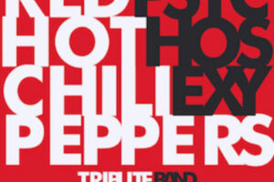 Red Hot Chili Peppers by Psycho Sexy