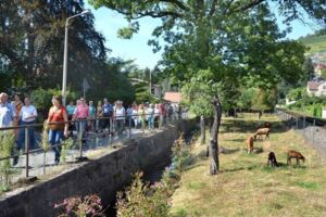 Exklusive Weinbergwanderung ca.7km - Exklusive kulinarische Weinführung mit moderierter 6er- Weinprobe