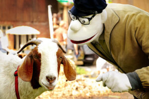 Werner Momsen - Momsen, Tiere, Sensationen