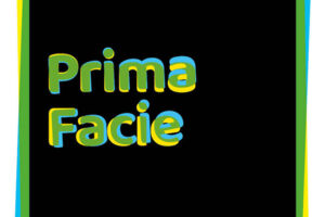 PRIMA FACIE von Suzie Miller - THEATERTAG Stückeinführung 19:30 Uhr